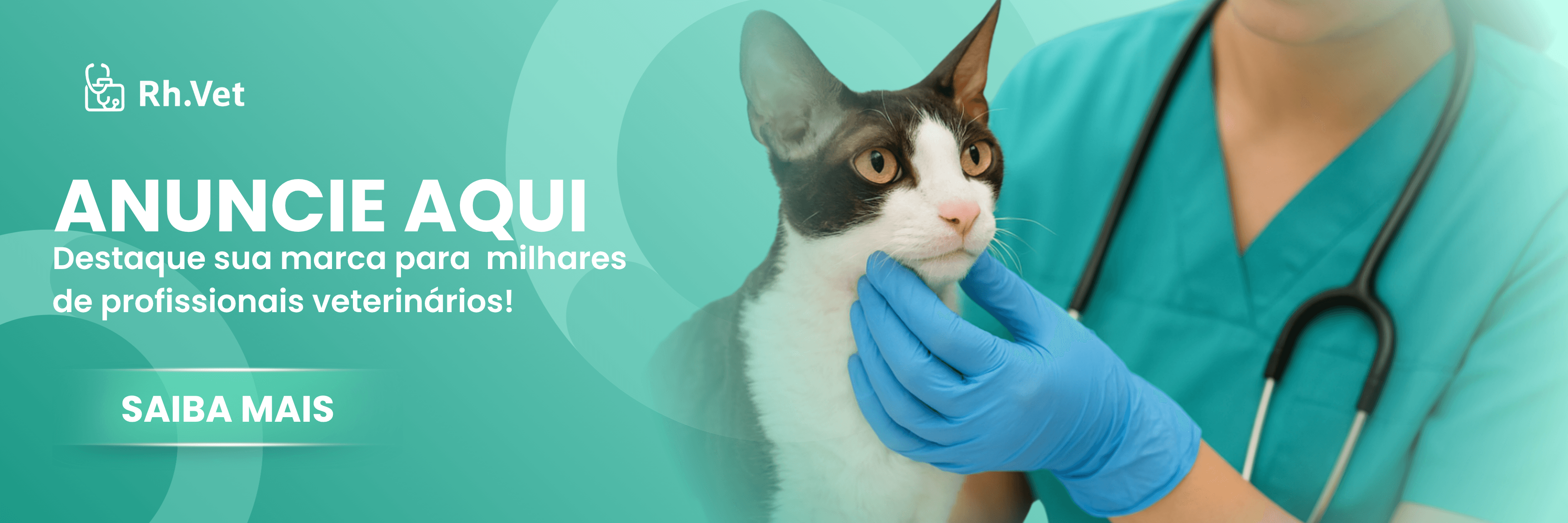 Destaque sua empresa e encontre os melhores clientes