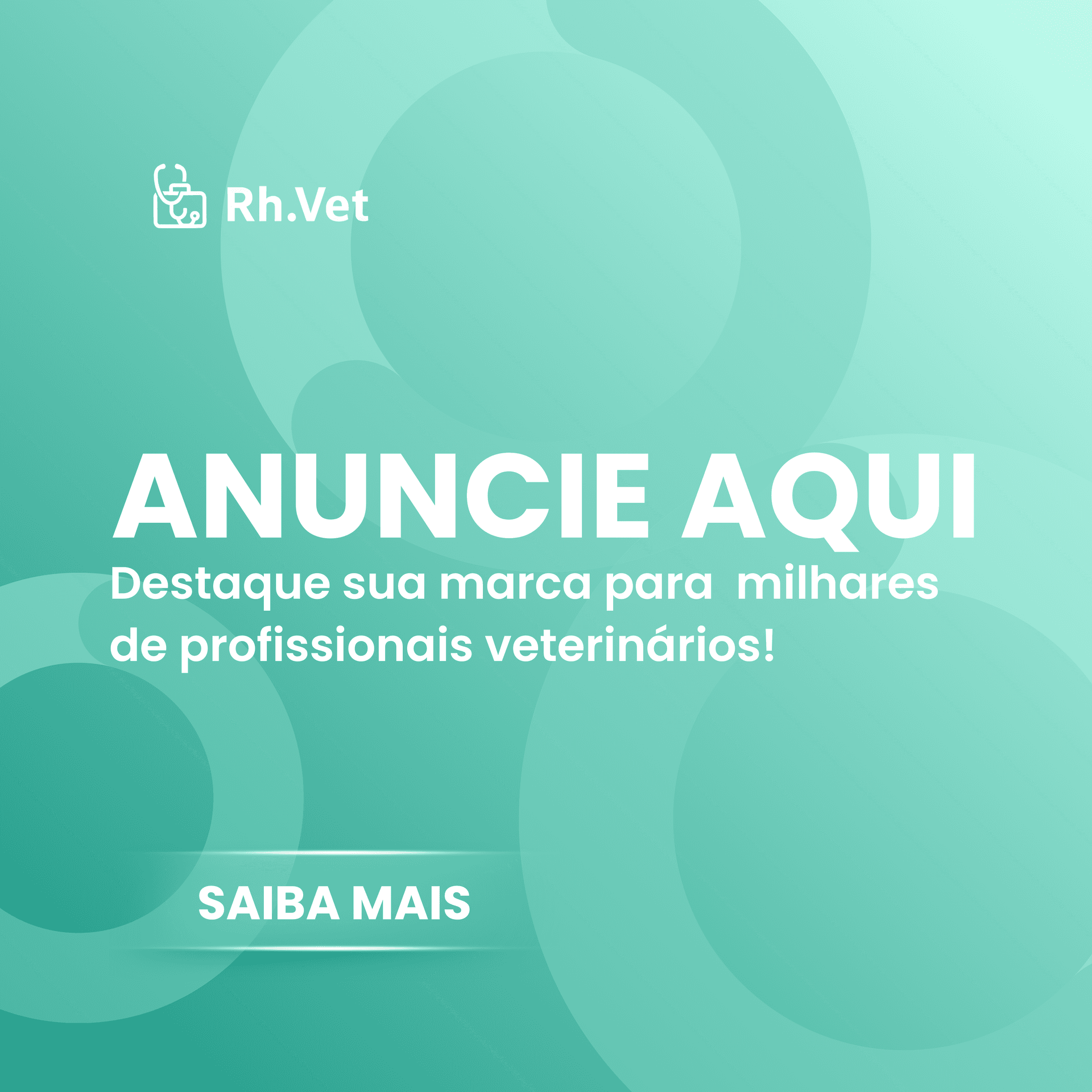 Destaque sua empresa e encontre os melhores clientes